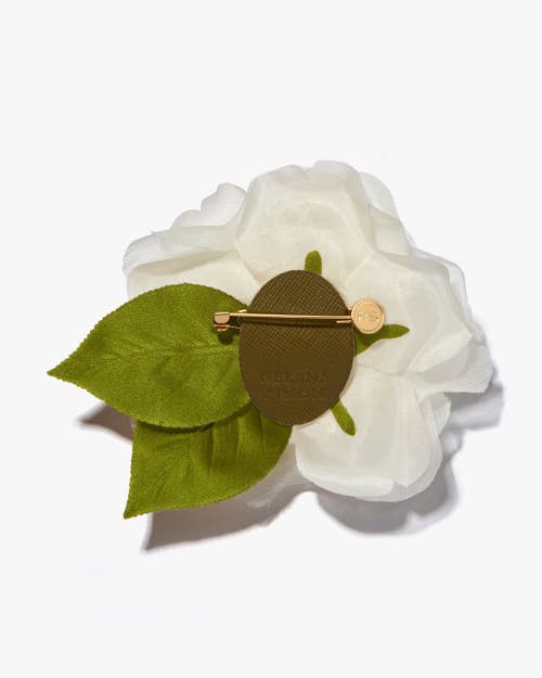 Helena Simon The White Rose In White