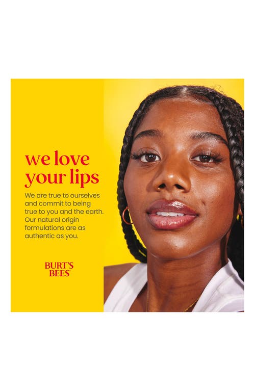 Burt's Bees Beeswax Bounty Moisturizing Lip Balm Gift Set In Transparent