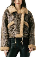 BLANKNYC Bonded Leopard Print Faux Shearling Moto Jacket