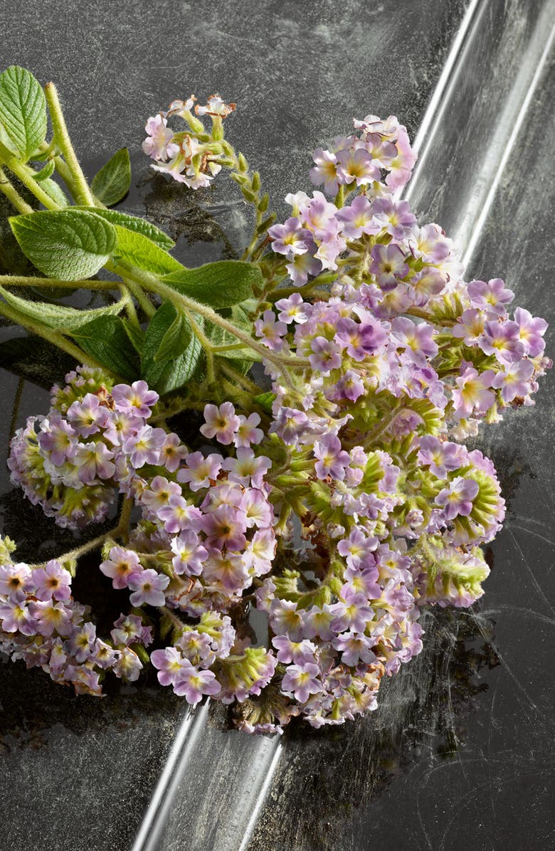 Dolce&Gabbana Q by Dolce&Gabbana Eau de Parfum Intense, Alternate, color, 