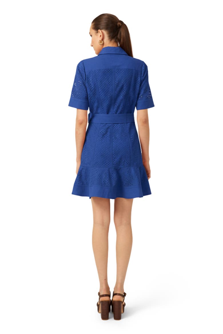 Payden Dress, Alternate, color, Blue eyelet
