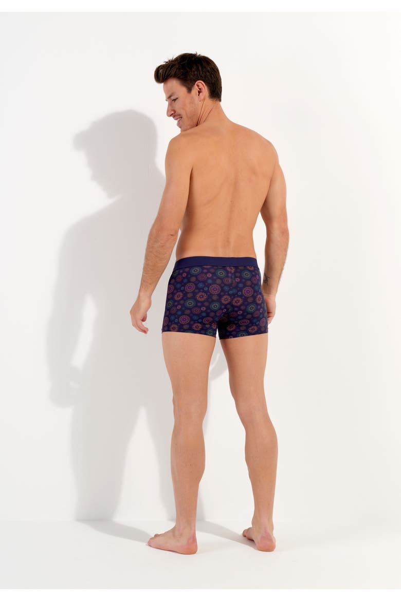 Spectra Boxer Briefs Ho1, Alternate, color, Navy Print