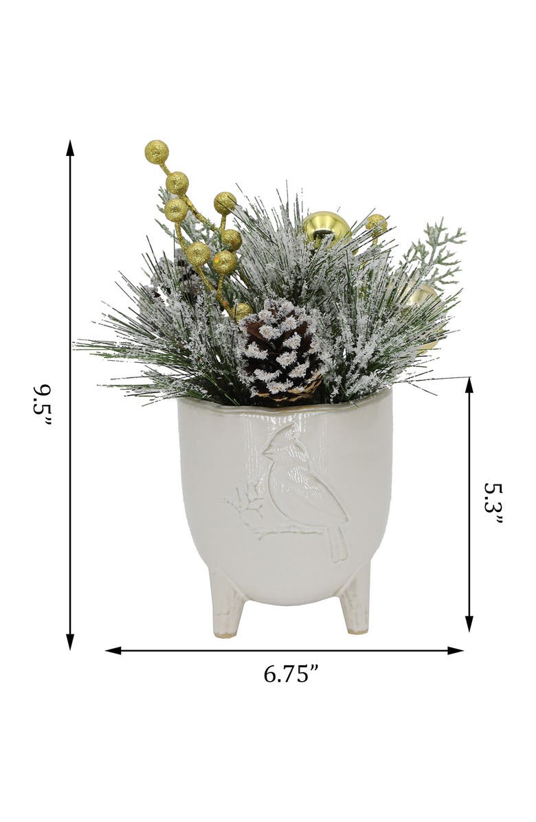 FLORA BUNDA Xmas Mix in 4.5" Cardinal Ceramic Footed Pot, Alternate, color, White
