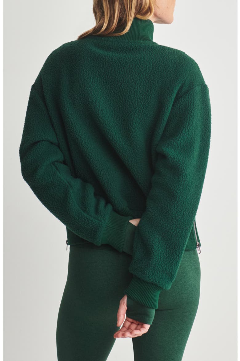 Jaylin High Pile Fleece Half-Zip Pullover, Alternate, color, RAIN FOREST