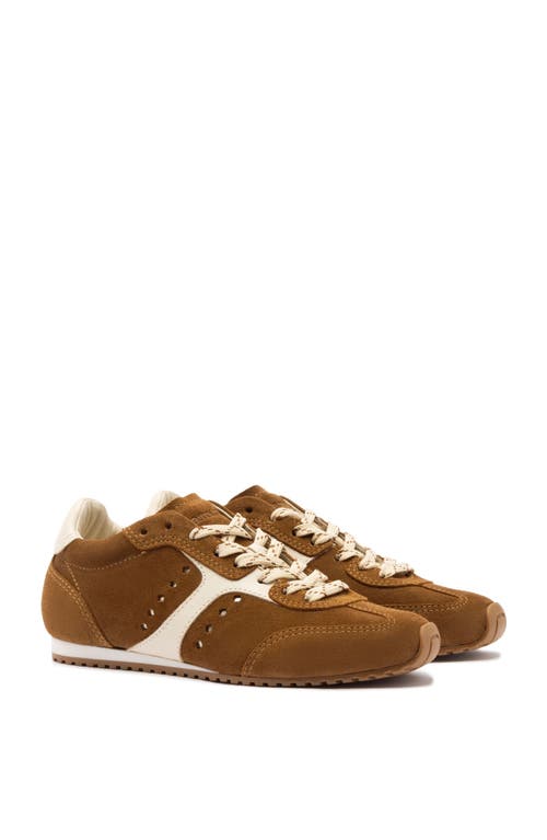 Larroude Larroudé Stella Sneaker In Brown