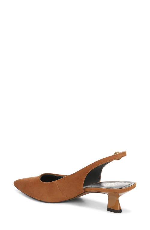 Franco Sarto Jaden Pointed Toe Slingback Pump In Brown
