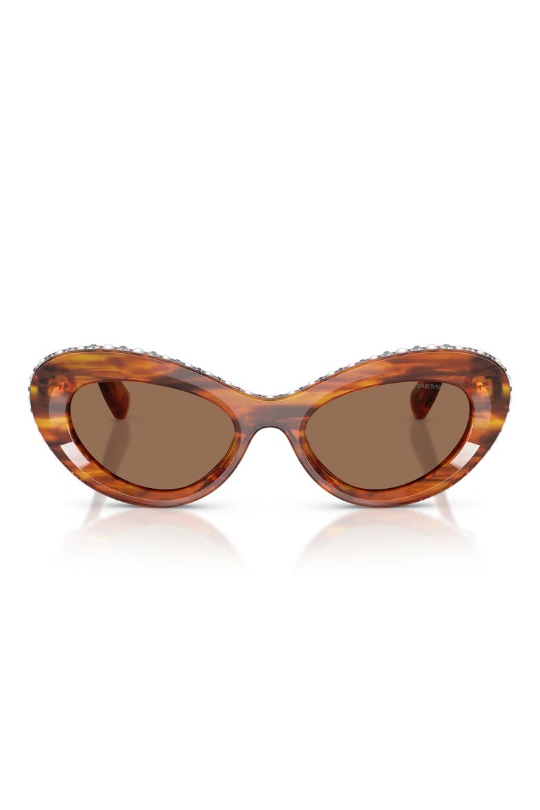 51mm Cat Eye Sunglasses, Main, color, STRIPED HAVANA / DARK BROWN