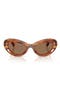  Striped Havana / Dark Brown