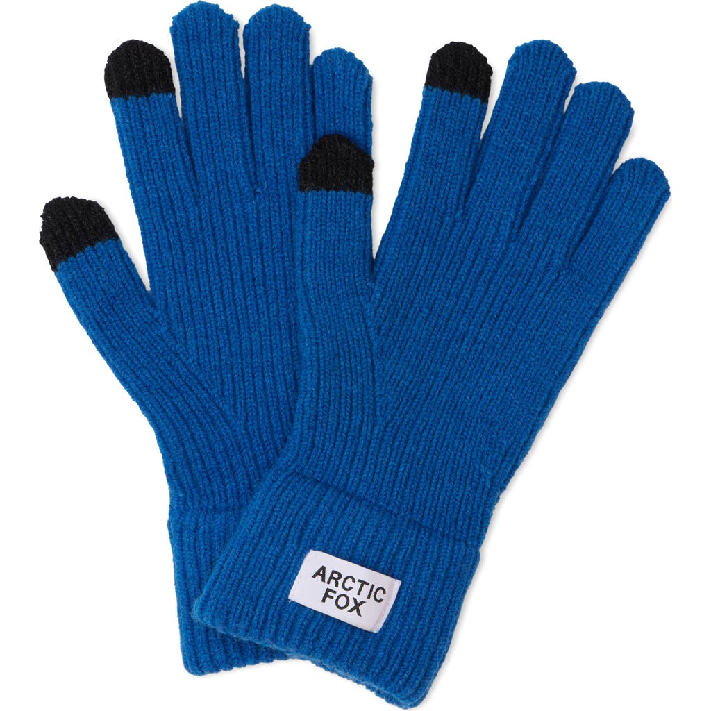Arctic Fox & Co. Arctic Fox & Co The Recycled Bottle Gloves In Blue