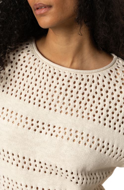 SANCTUARY SANCTUARY STRIPE OPEN STITCH ELBOW SLEEVE COTTON SWEATER 