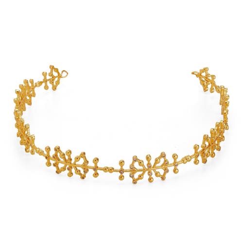 Dhwani Bhansal Auro Choker In Gold Plated