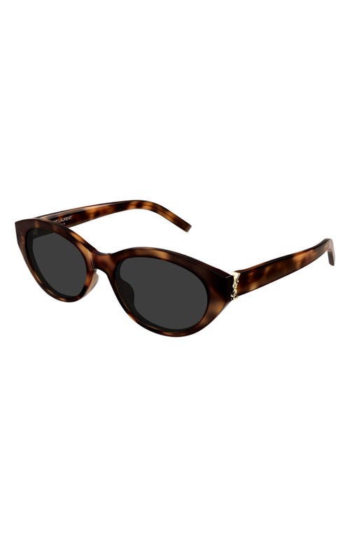 Saint Laurent Sl M148 Recycled Acetate Round Sunglasses In Havana