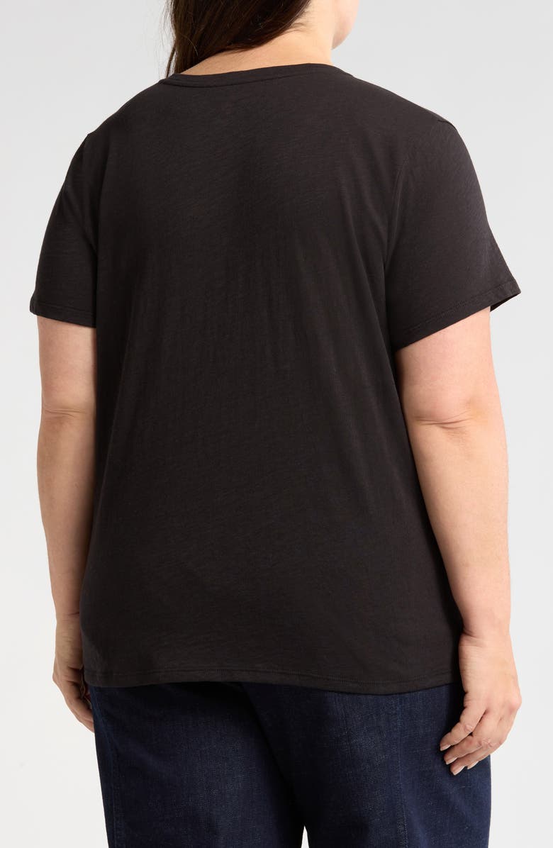 Eileen Fisher Easy V-Neck Organic Cotton T-Shirt, Alternate, color, Black