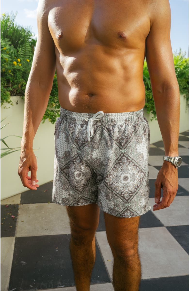 Ivy Swimwear Denali Shorts, Alternate, color, Green