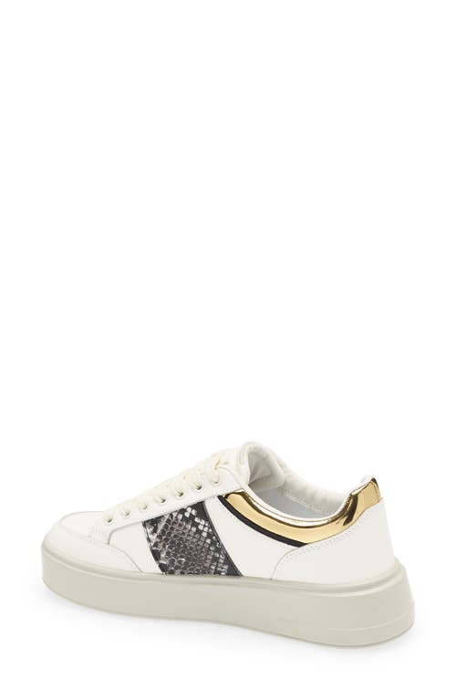 Roberto Cavalli Logo Hardware Low Top Sneaker In White