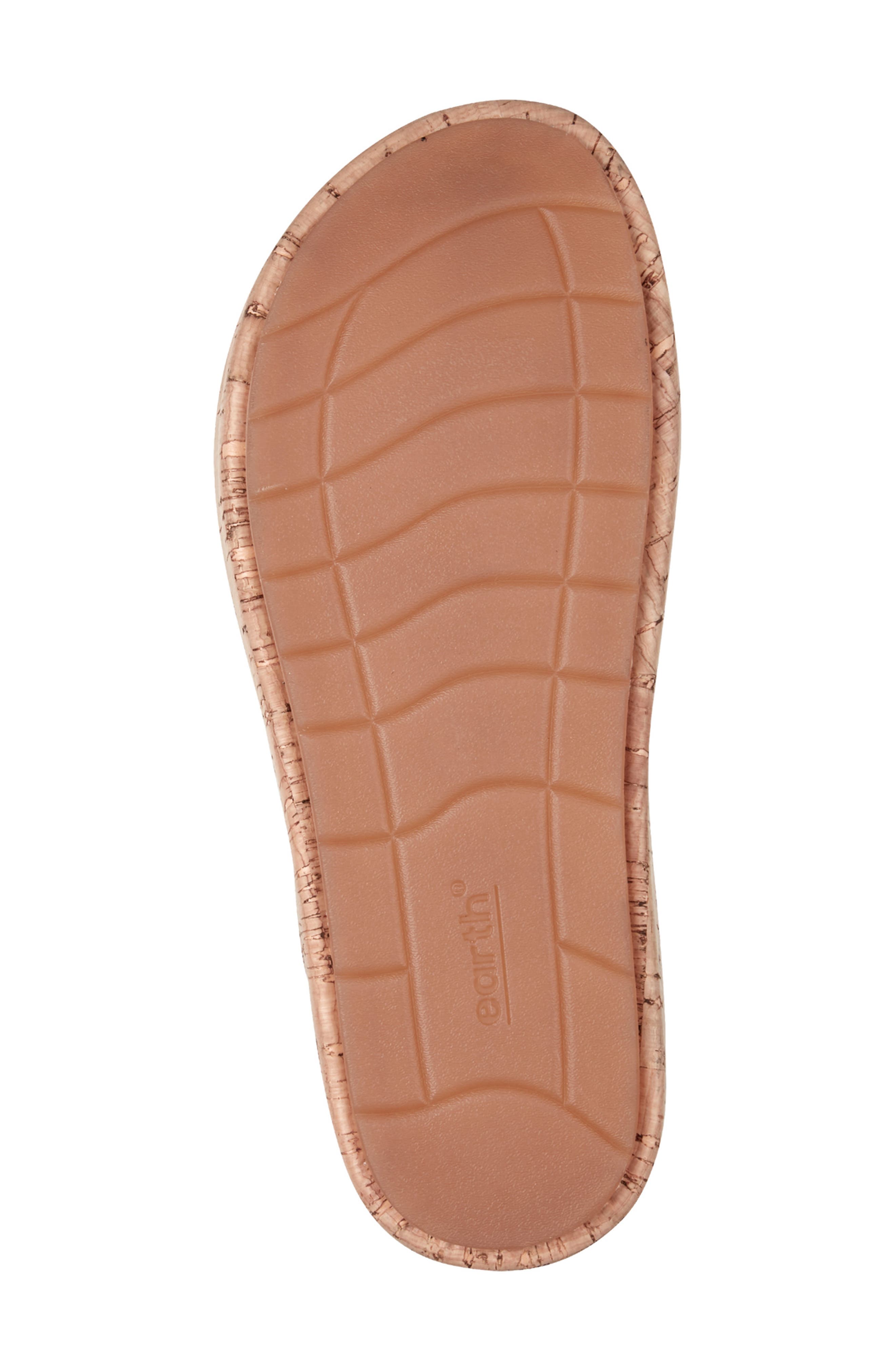 Earth<sup>®</sup> Slata Ankle Strap Platform Sandal, Alternate, color, Black