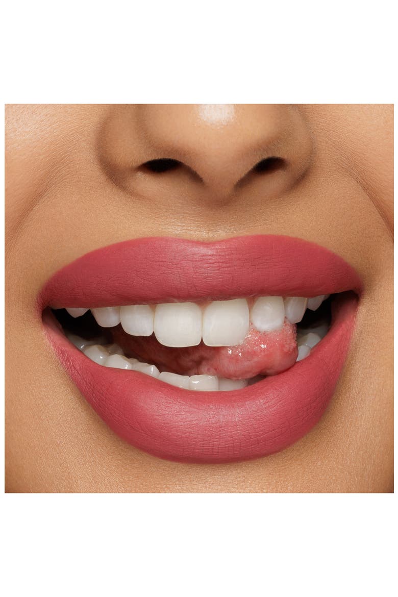 Perfectionist Lip Pencil, Alternate, color, FLUSH