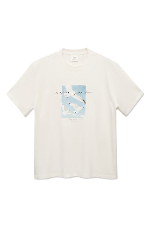 Mango Relaxed Fit Graphic T-shirt In White