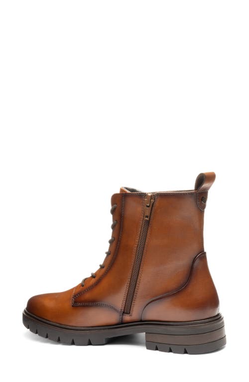 Ara Chatham Lace-up Boot In Multi