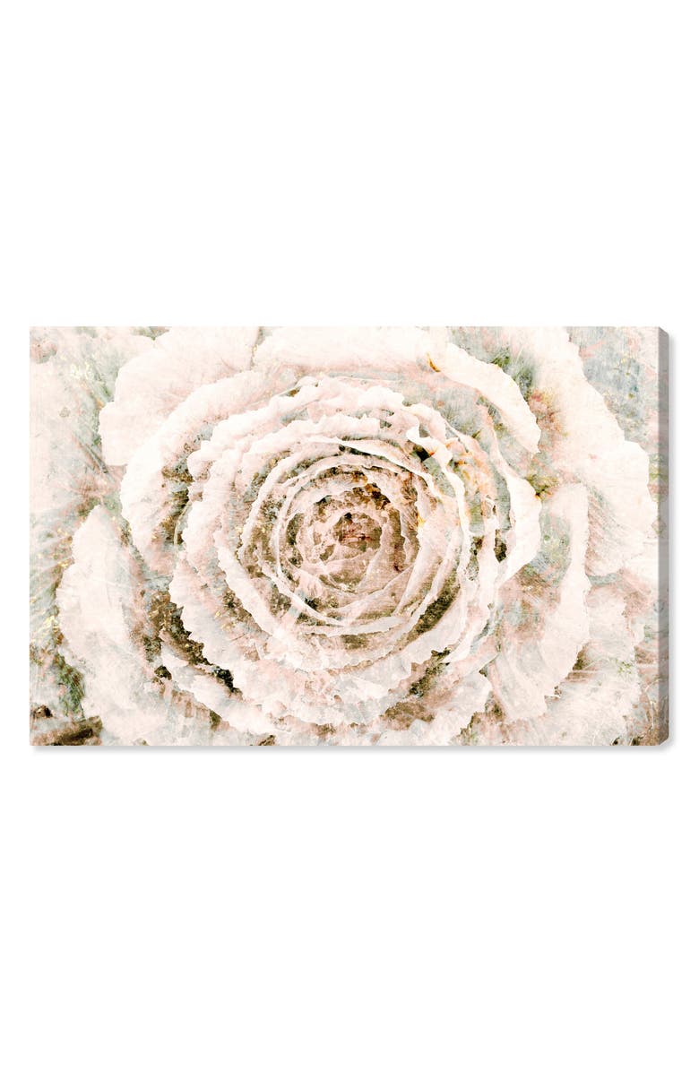 Oliver Gal Brown Winter Flower Canvas Wall Art, Main, color,