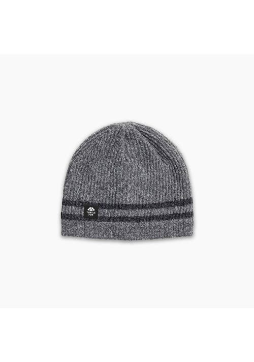 Turtle Fur Mr. Happy Wool Beanie In Gray