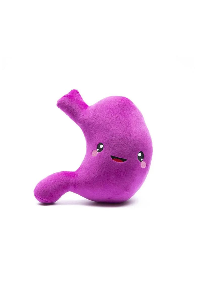 Stomach Plushie Organ Toys, Main, color, Dark Pink