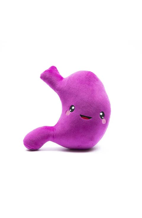 Stomach Plushie Organ Toys