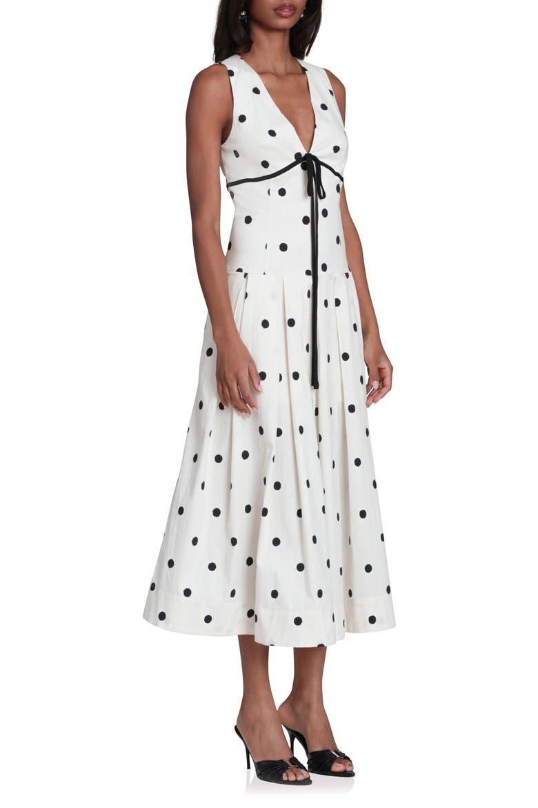 Dot Sleeveless Maxi Dress, Alternate, color, BRUSHED POLKA DOT