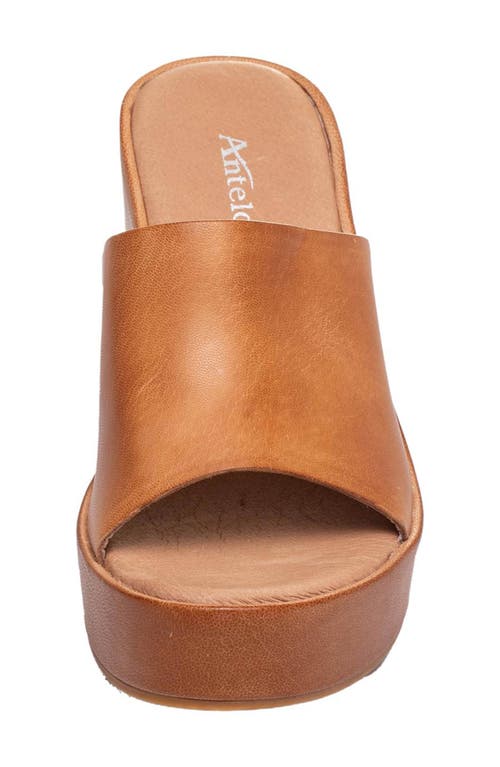 Antelope Bala Platform Wedge Leather Slide Sandal In Taupe