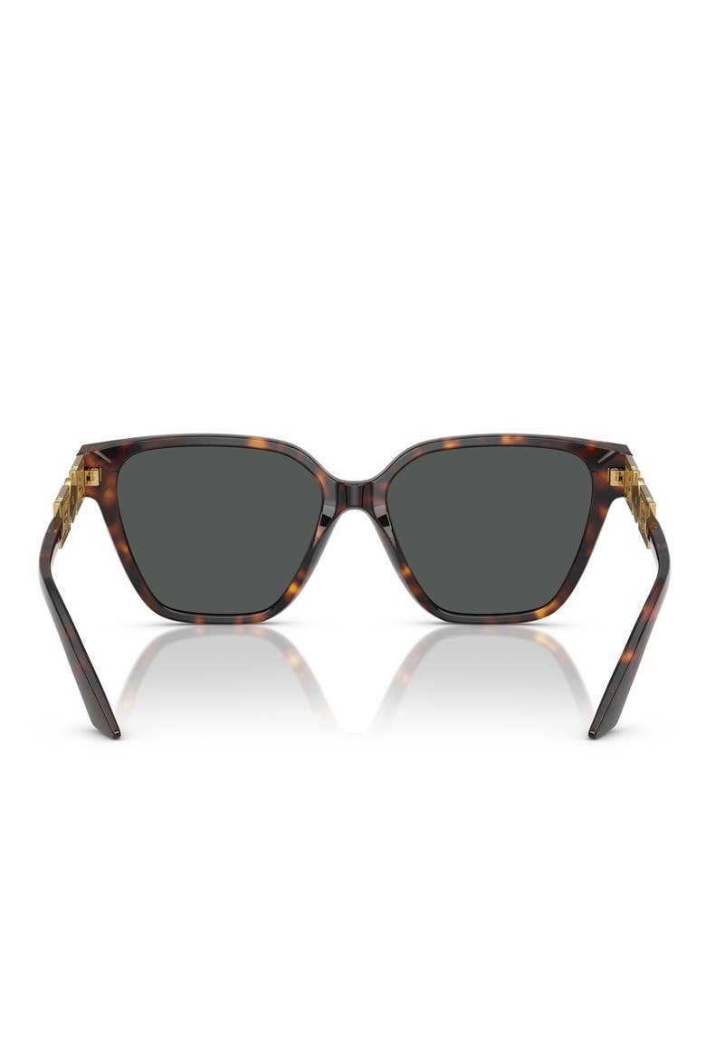 56mm Butterfly Sunglasses, Alternate, color, HAVANA
