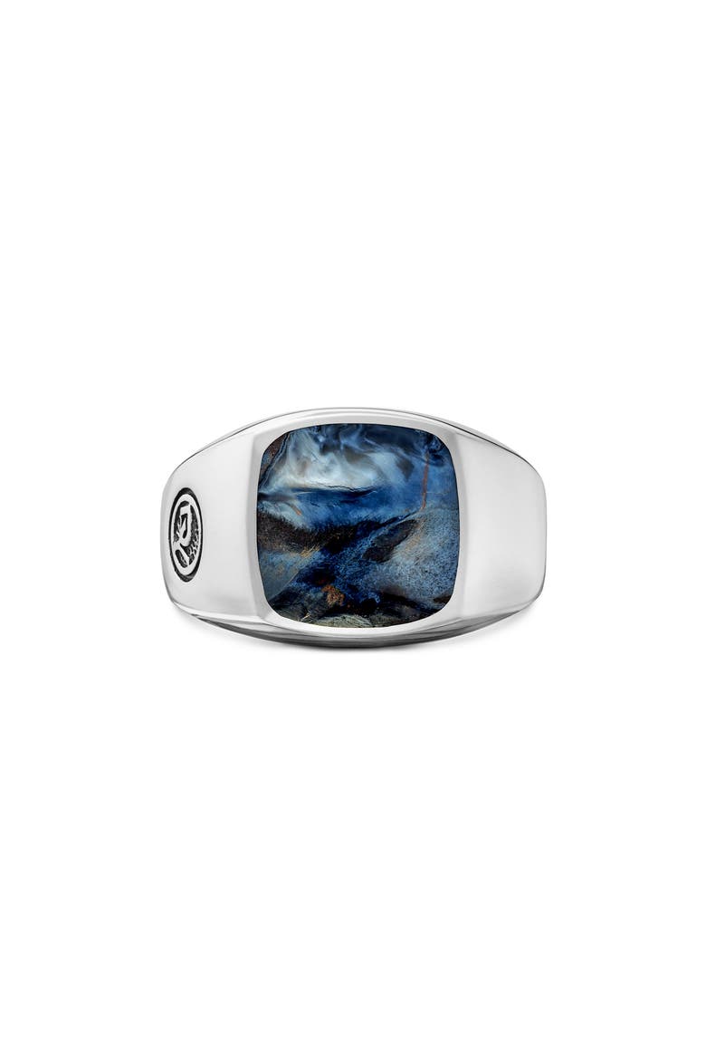 'Exotic Stone' Signet Ring in Silver, Main, color, PIETERSITE