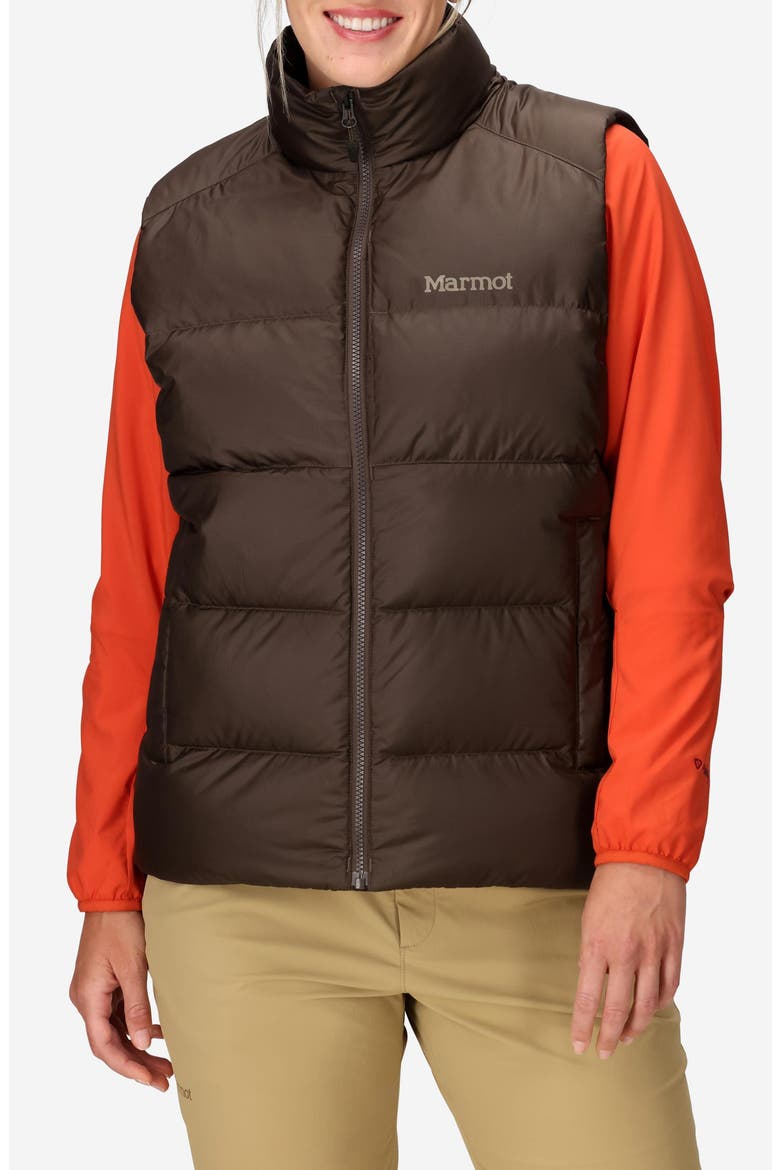 Guides 700 Fill Power Down Water Repellent Vest, Main, color, HICKORY NUT