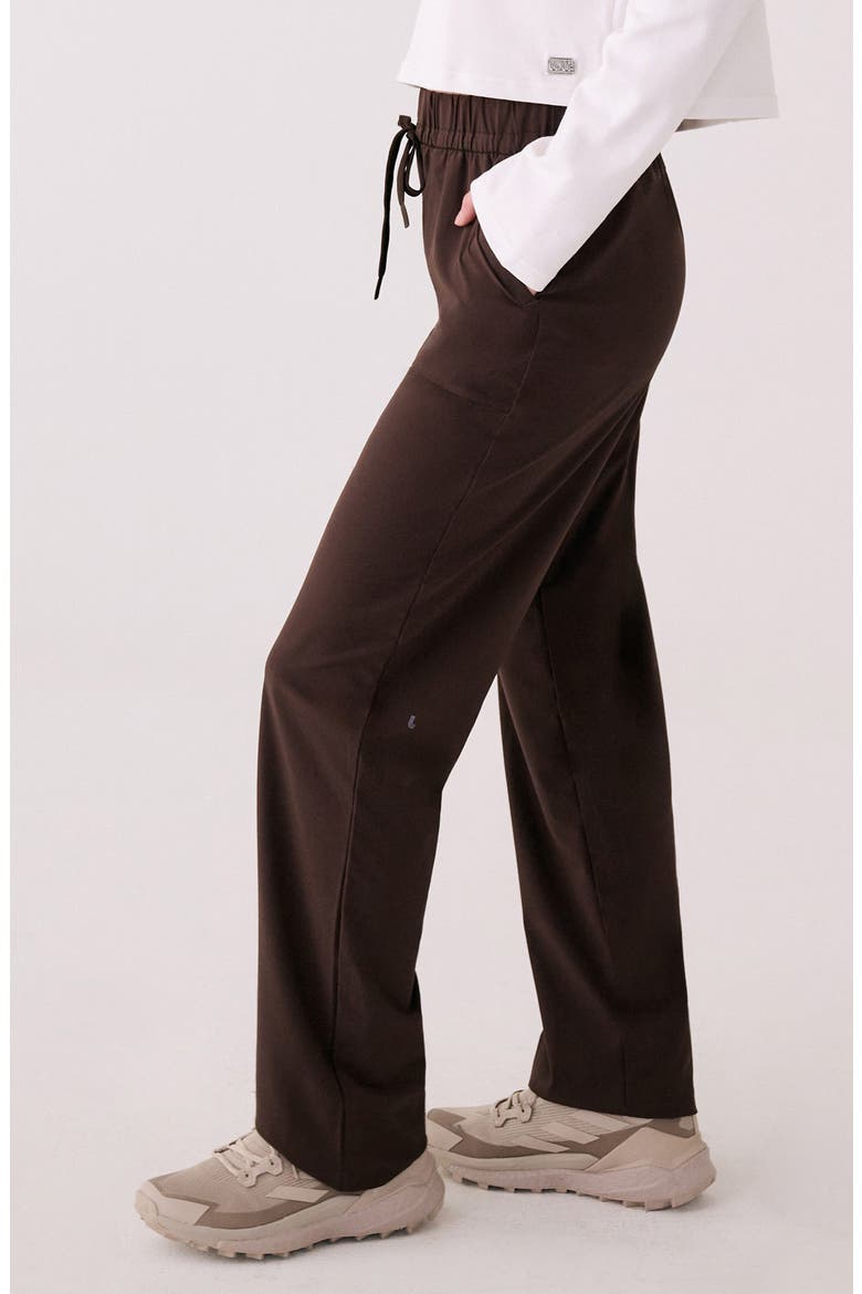 Olivie Straight Leg Pants, Alternate, color, JAVA