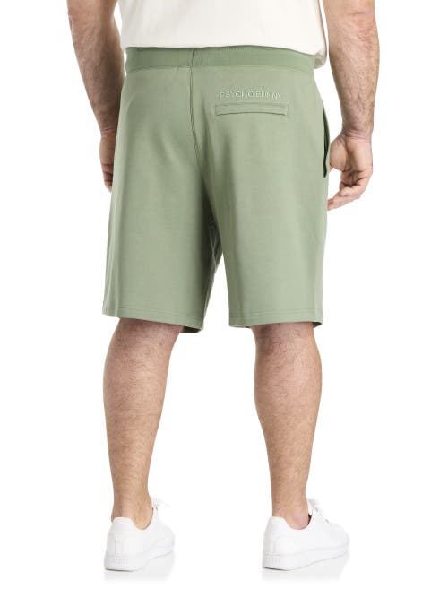 Psycho Bunny Big & Tall Baxter Embroidered French Terry Shorts In Sea Spray