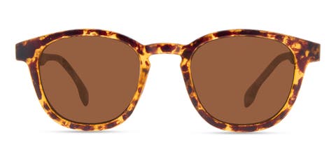 Midnight Traveler Sunglasses