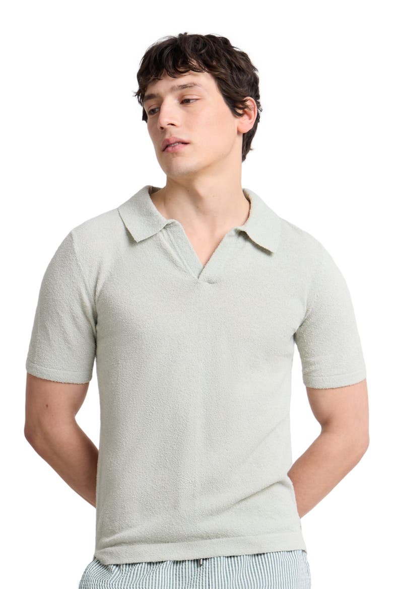 Boucle Knit Johnny Polo, Alternate, color, Muted Sage