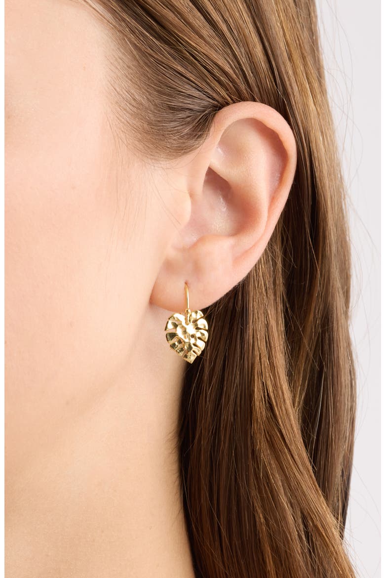Manini Manoa Monstera Leaf Drop Earrings, Alternate, color, GOLD
