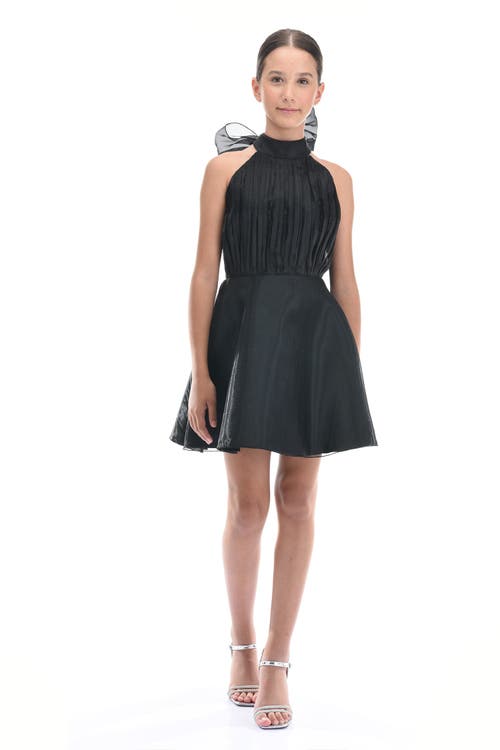 Tulleen Tivoli Dress In Black