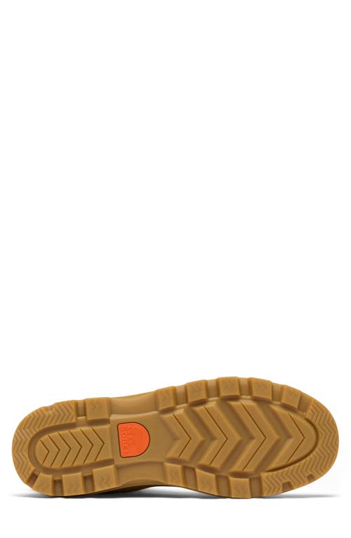 Sorel Scout N About Sneakers In Brown