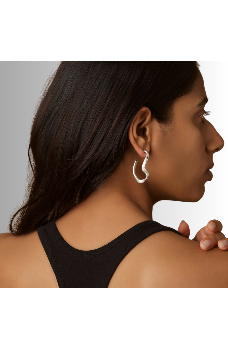 Nabs And Babs Sahab Hoop Earrings, Alternate, color, Silver