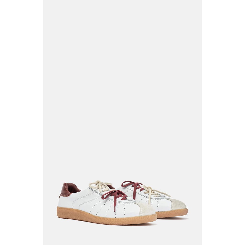 Shop Scarosso Mariate Sneakers