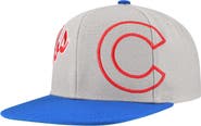 Mitchell & Ness Men's Mitchell & Ness Gray Chicago Cubs Knock Out Panel Snapback Hat