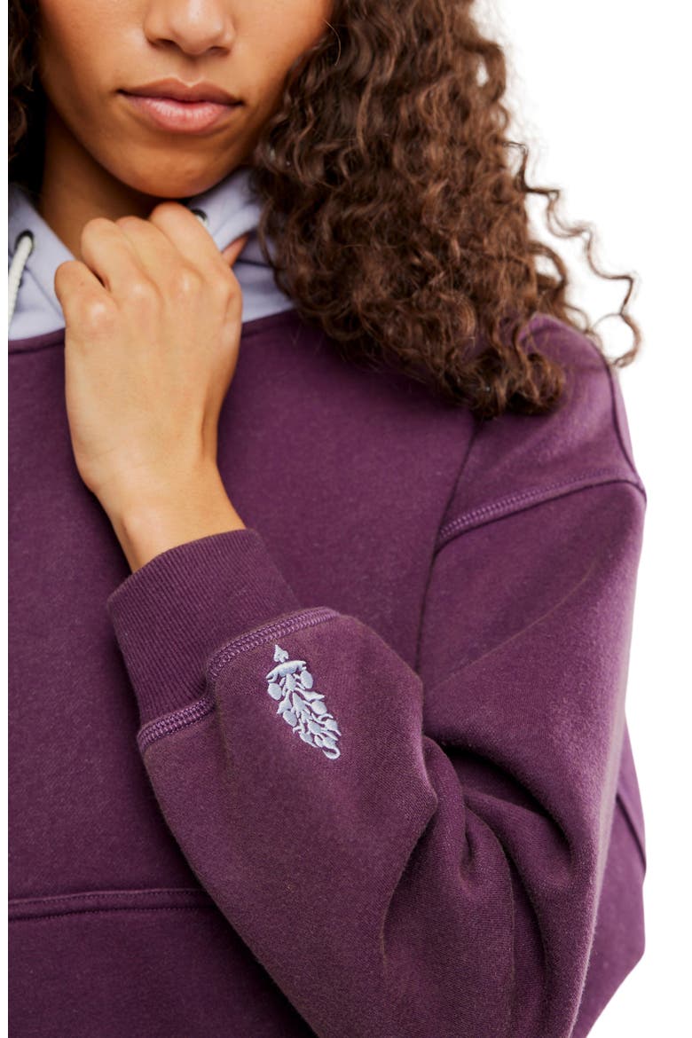 Final Call Colorblock Hoodie, Alternate, color, BLACKBERRY/ LUNAR BLO