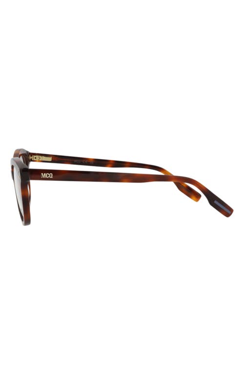 Alexander Mcqueen Mcqueen 47mm Cat Eye Optical Glasses In Havana Havana Transparent