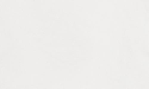 Ag Wells Carpenter Slim Leg Jeans In White