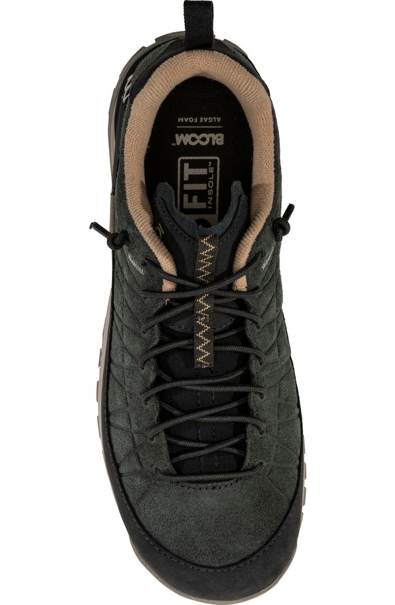 Oboz Jeannette Low Top Sneaker, Alternate, color,