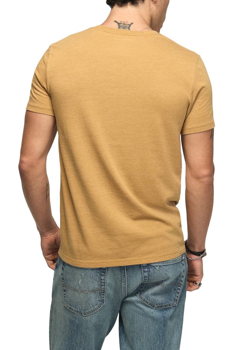 Thanksgiving Feast Mode Graphic Tee, Alternate, color, WOOD THRUSH