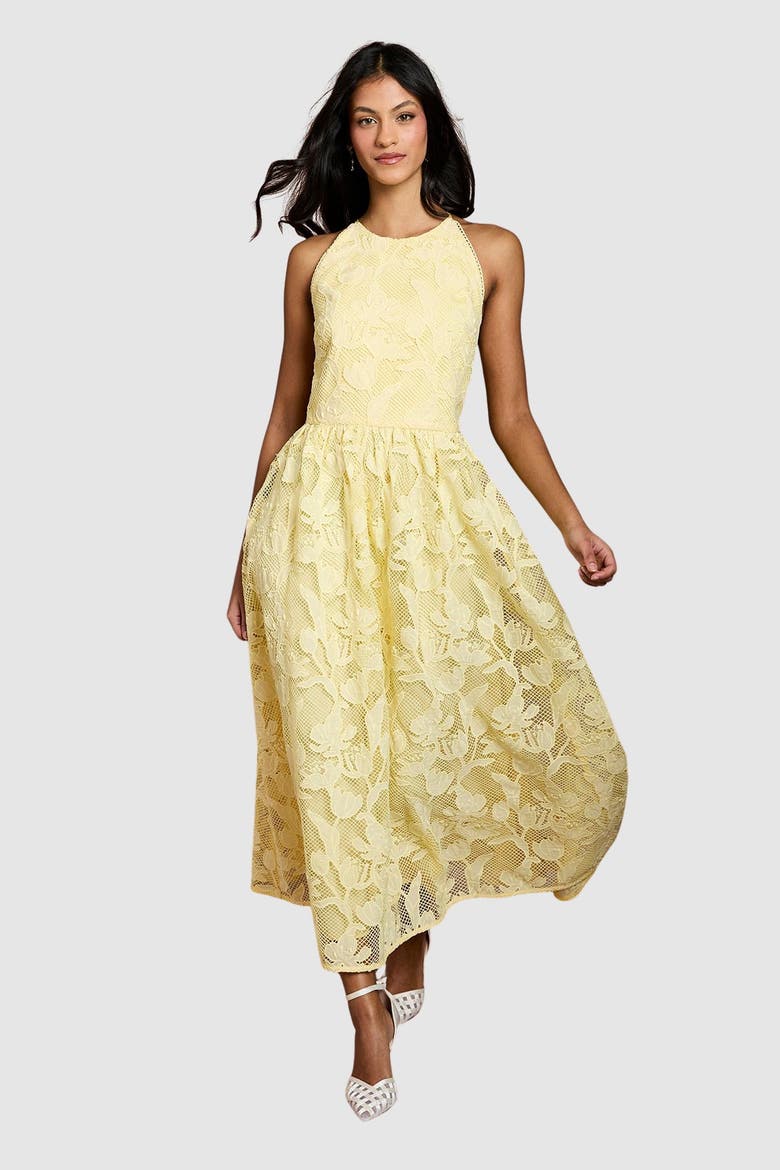 Petite Halterneck Lace Midi Dress, Main, color, Butter