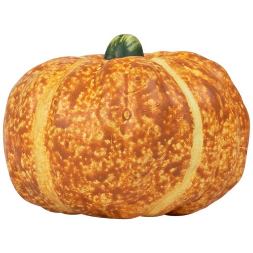 Northlight Mini Ceramic Pumpkins And Gourds Fall Harvest Decorations In Multi