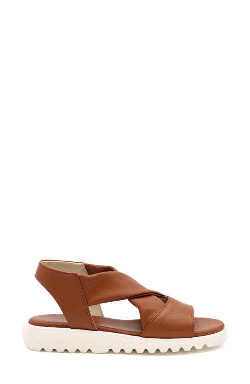 Amalfi By Rangoni Baletto Sandal In Mou Parmasoft